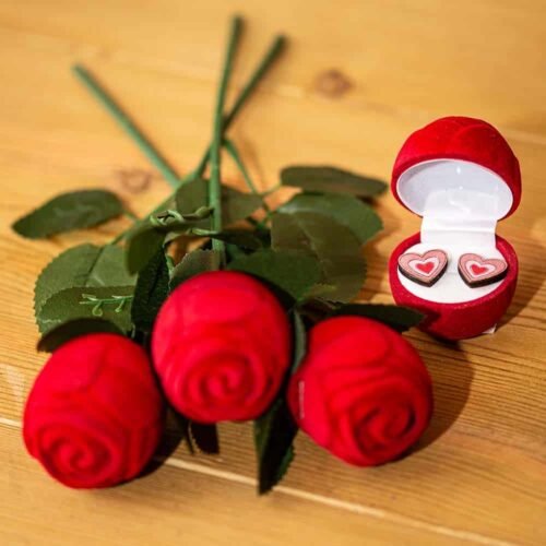 Σκουλαρίκια καρφωτά καρδιά με καρδιά